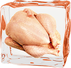 Poulet-Brust